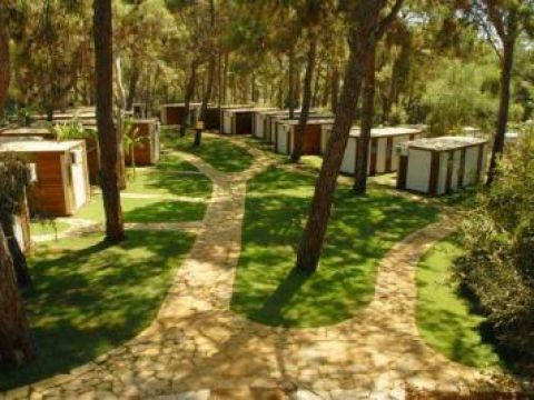 Gold Sand Naturel Park Image